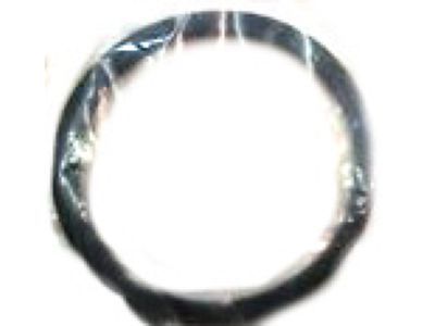 Dodge Fuel Pump Seal - 6031475