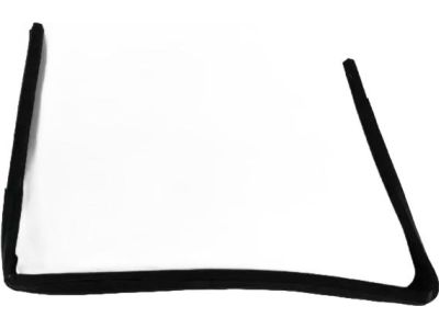 5112246AD Mopar WEATHERSTRIP-Front Door Glass Run Product Photo 3 of 3