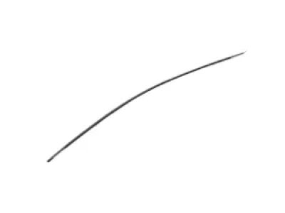 68257477AD Mopar Molding-Day Light Opening Product Photo 4 of 4