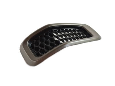 Mopar 6CY39NTZAA Grille-Radiator 6CY39NTZAA Mopar Grille-Radiator Product Photo 1 of 4