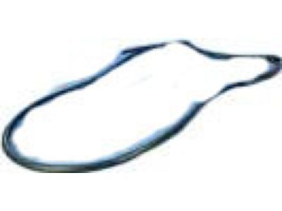 55399214AG Mopar WEATHERSTRIP-Rear Door Opening Product Photo 3 of 3