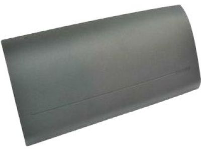 Mopar 1ZP27JXWAB Passenger Air Bag 1ZP27JXWAB Mopar Passenger Air Bag Product Photo 1 of 4