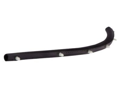 Dodge Charger Weather Strip - 68040043AB