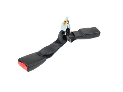 Mopar 1HZ141X9AE Seat Belt Buckle Assembly 1HZ141X9AE Mopar Seat Belt Buckle Assembly Product Photo 1 of 5