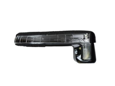 Mopar 68228921AA Lamp-Turn Signal 68228921AA Mopar Lamp-Turn Signal Product Photo 1 of 5