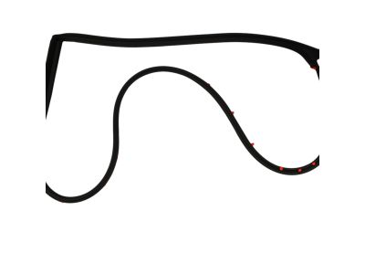 Mopar 68039977AG WEATHERSTRIP-Rear Door Mounted 68039977AG Mopar WEATHERSTRIP-Rear Door Mounted Product Photo 1 of 3