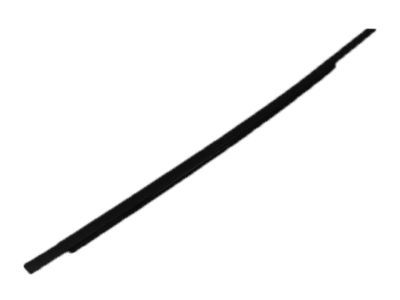 Dodge Charger Weather Strip - 57010348AC