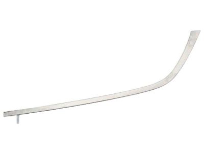 57010408AC Mopar Molding-Rear Door Product Photo 4 of 8