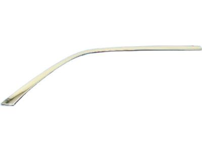 57010408AC Mopar Molding-Rear Door Product Photo 3 of 8