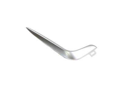 Mopar 6WF76SZ7AA APPLIQUE-Fog Lamp 6WF76SZ7AA Mopar APPLIQUE-Fog Lamp Product Photo 1 of 3