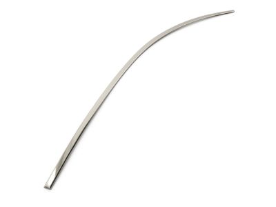 57010364AC Mopar Molding-Front Door Product Photo 6 of 7