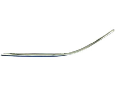 57010364AC Mopar Molding-Front Door Product Photo 3 of 7