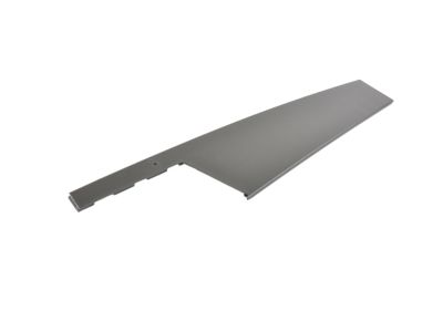 Mopar 68247337AA Molding-Rear Door 68247337AA Mopar Molding-Rear Door Product Photo 1 of 7