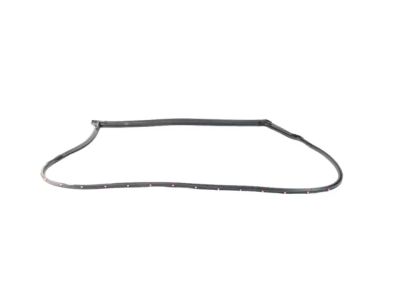 68188725AC Mopar WEATHERSTRIP-Front Door Opening Product Photo 3 of 3