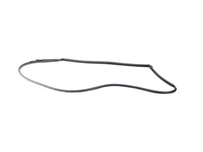 68188725AC Mopar WEATHERSTRIP-Front Door Opening Product Photo 2 of 3