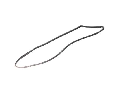 Mopar 68188725AC WEATHERSTRIP-Front Door Opening 68188725AC Mopar WEATHERSTRIP-Front Door Opening Product Photo 1 of 3
