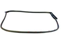 Mopar 68039976AE WEATHERSTRIP-Rear Door Mounted