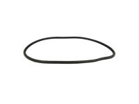 Mopar 68144971AB WEATHERSTRIP-Rear Door Body Mounted Mopar 68144971AB WEATHERSTRIP-Rear Door Body Mounted