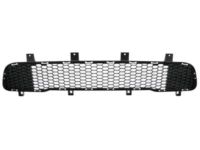 Mopar 5UP87RXFAA Grille-Lower