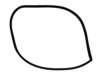 Mopar 4717728AC WEATHERSTRIP-Front Door