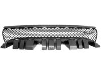 Mopar 68223889AC Grille-Radiator