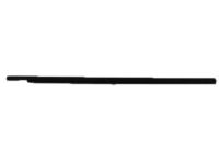 Mopar 55276202AE WEATHERSTRIP-Door Belt