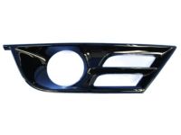 Mopar 68203016AB Bezel-Adaptive Cruise Control