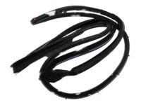 Mopar 68188724AD WEATHERSTRIP-Front Door Opening