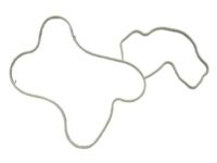 Mopar 53022209AD Gasket-Water Pump