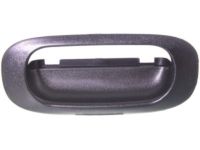 Mopar 55256216AB Bezel-TAILGATE Handle