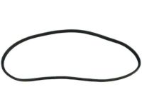 Mopar 55399255AE WEATHERSTRIP-Rear Door Mounted