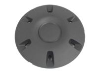 Mopar 68025431AA Wheel Center Cap