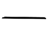 Mopar 55395268AB WEATHERSTRIP-Door Belt Outer