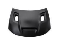 Mopar 68529909AA Hood Mopar 68529909AA Hood