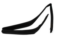 Mopar 55399190AG WEATHERSTRIP-Front Door Glass Run