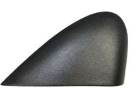 Mopar 55362870AC APPLIQUE-Fender