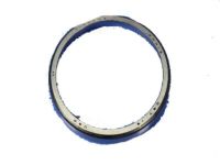 Mopar 68026490AA Cup-Wheel Bearing