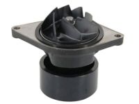 Mopar 68003402AA Water Pump