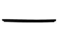 Mopar 55112373AH WEATHERSTRIP-Front Door Belt Inner