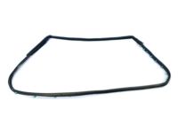 Mopar 68040046AL WEATHERSTRIP-Rear Door Mounted