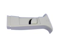 Mopar 1BG10HDAAE Panel-B Pillar