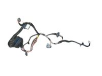 Mopar 68053525AB Wiring-Rear Door