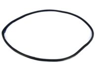 Mopar 68145007AB WEATHERSTRIP-Front Door Body Mounted