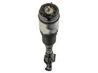 Mopar 68029902AD Spring-Air Suspension