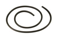 Mopar 5076862AE WEATHERSTRIP-Front Door Opening Mopar 5076862AE WEATHERSTRIP-Front Door Opening