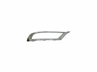 Mopar 5SW14SZ0AA Bezel-Front FASCIA