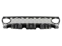 Mopar 68417502AA Grille-Radiator