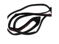 Mopar 68045995AA WEATHERSTRIP-Front Door Mounted Mopar 68045995AA WEATHERSTRIP-Front Door Mounted
