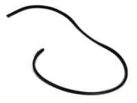 Mopar 5076863AG WEATHERSTRIP-Front Door Opening