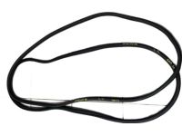 Mopar 68402033AA WEATHERSTRIP-Rear Door Body Mounted Mopar 68402033AA WEATHERSTRIP-Rear Door Body Mounted